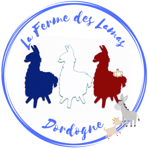 Api Lamas Fas Ferme des Lamas Dordogne – Contactez-nous pour vos vacances