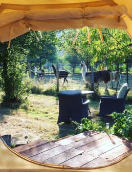 loire valley llama farm