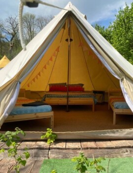Inside The Wild Tent cookie policy